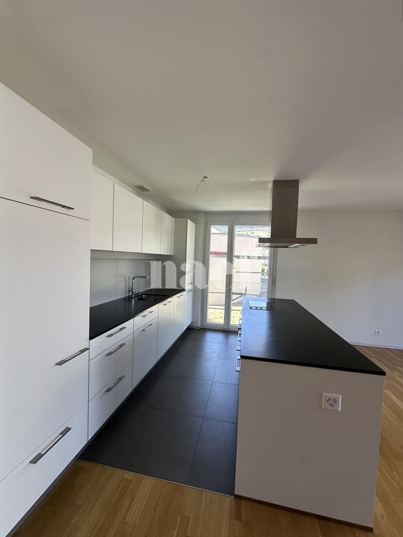 Appartement 3.5 pièces dans un immeuble récent (1)