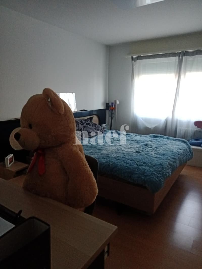 Bel appartement de 2 pièces au Landron (2)