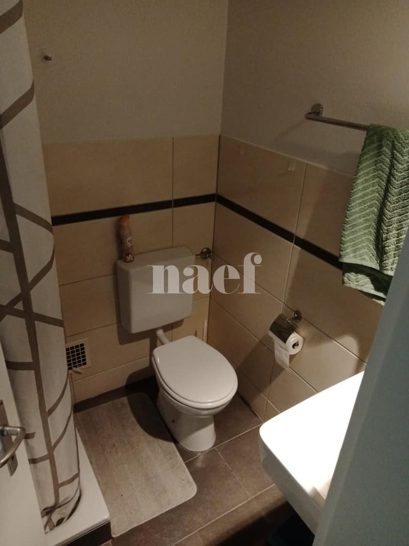 Bel appartement de 2 pièces au Landron (4)