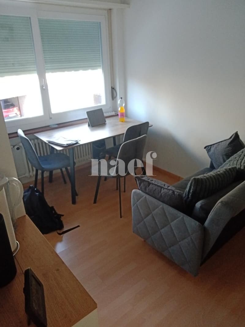 Bel appartement de 2 pièces au Landron (3)