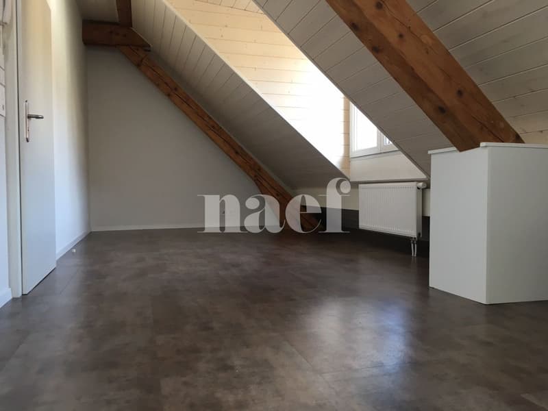 A Boudry, proche du Tram, et des commodités, appartement 1 pièce (2)