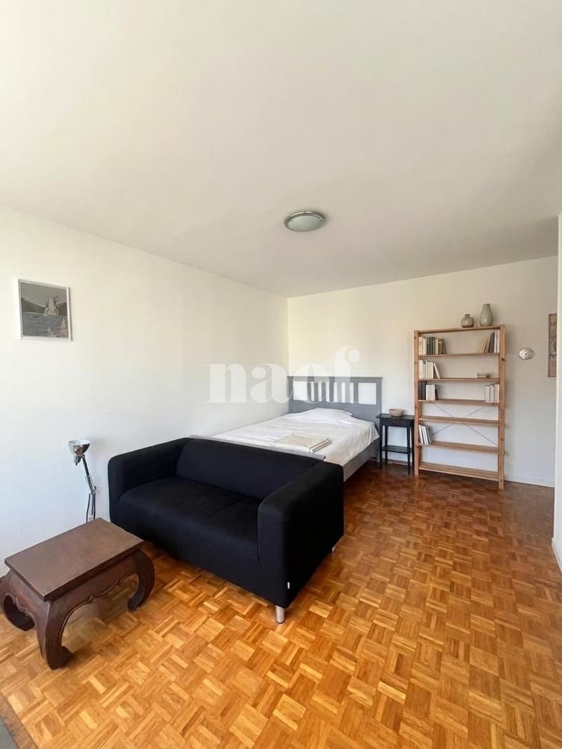 Appartement de 1 pièce à Neuchâtel (3)