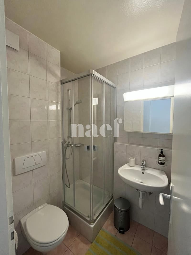 Appartement de 1 pièce à Neuchâtel (5)