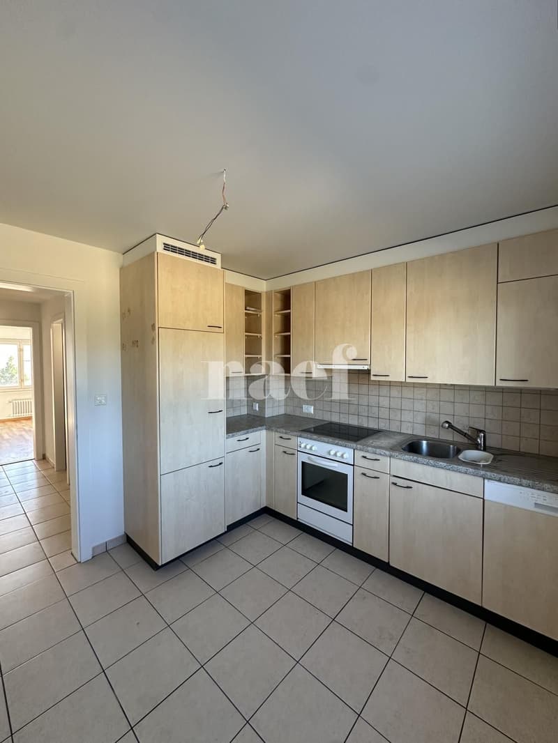 Appartement avec dégagement (5)