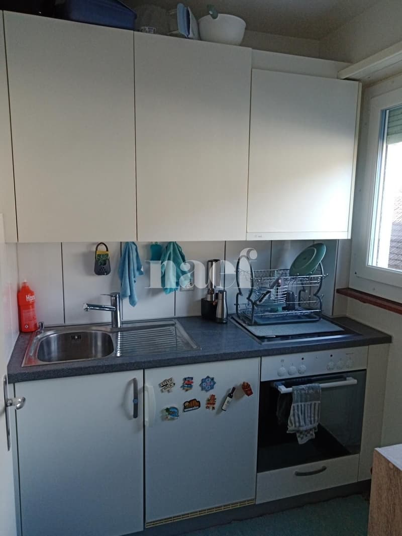 Bel appartement de 2 pièces au Landron (1)