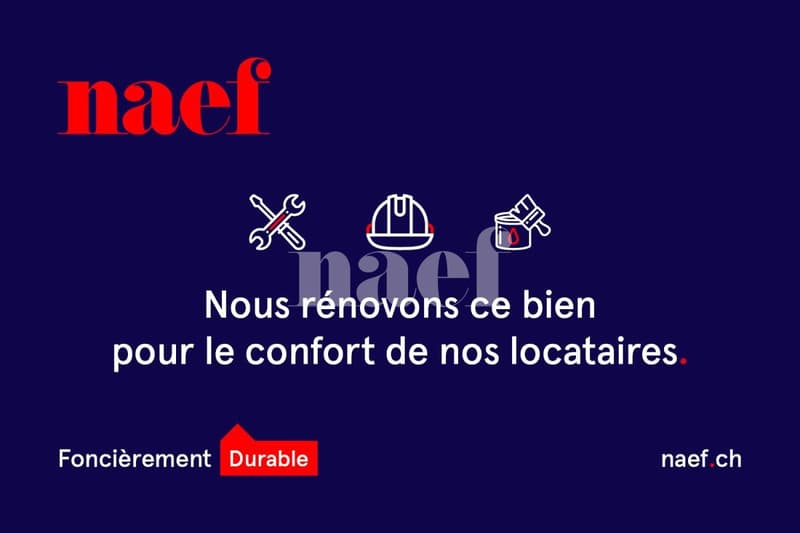 Appartement rénové avec vue sur le lac (2)