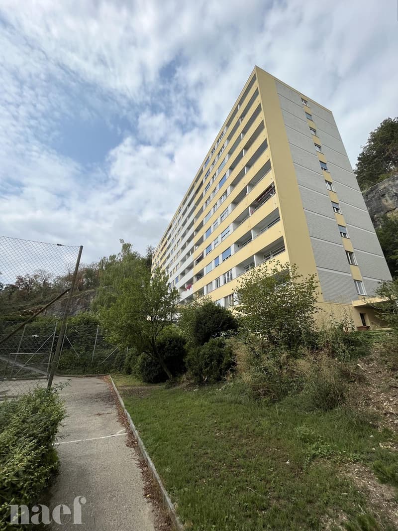 Appartement rénové avec vue sur le lac (1)