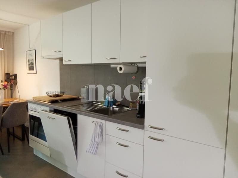 Bel appartement situé dans le haut de la ville (2)