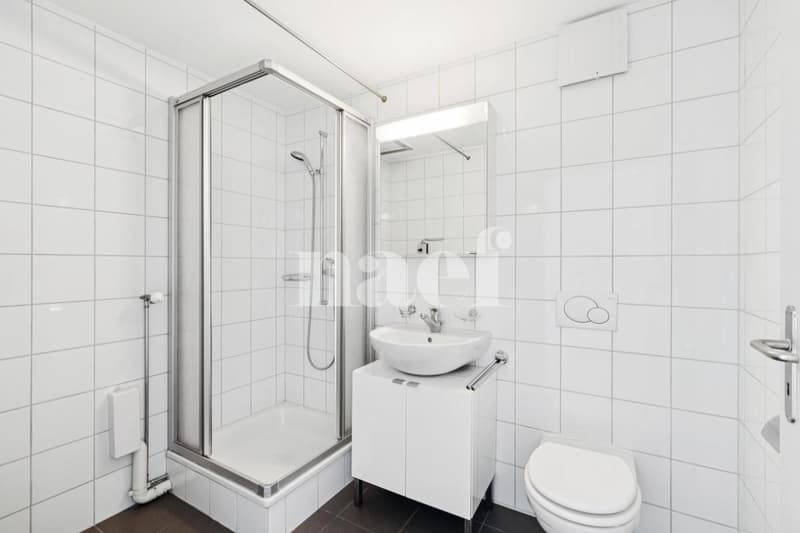 Occasion à saisir! Sublime logement idéalement situé (9)