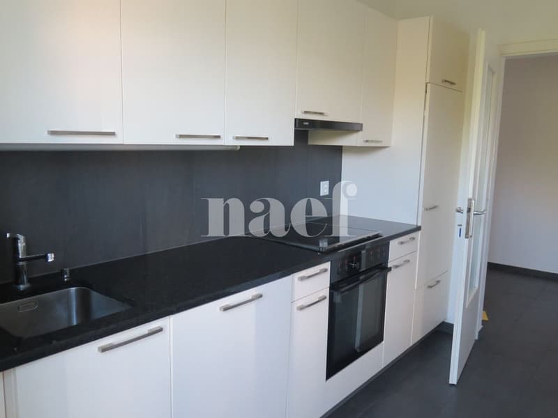 Appartement rénové de 4 pièces avec grand balcon (3)