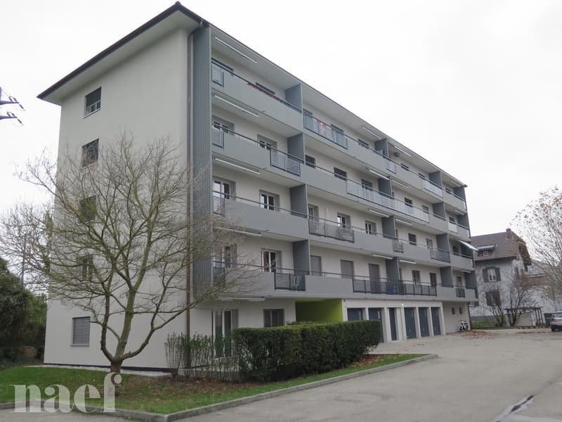Appartement rénové de 4 pièces avec grand balcon (1)
