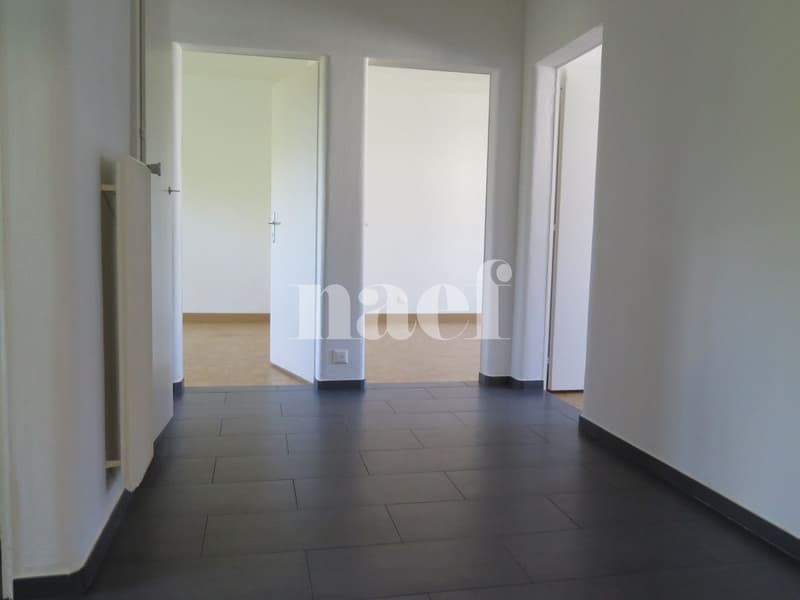 Appartement rénové de 4 pièces avec grand balcon (7)