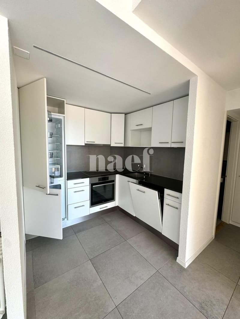 Appartement de 2 pièces avec terrasse et vue sur le lac (4)