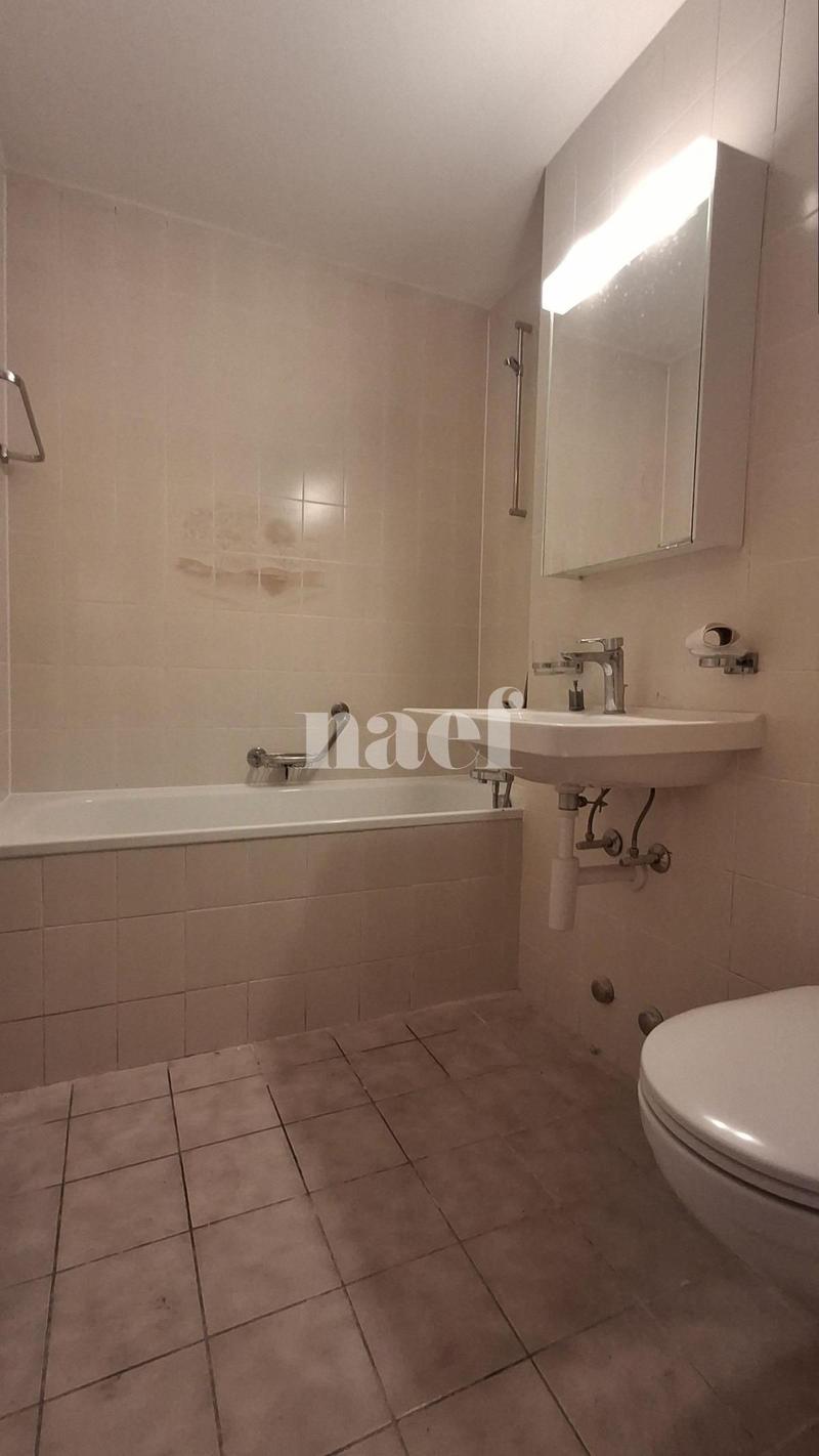 Appartement rénové (4)