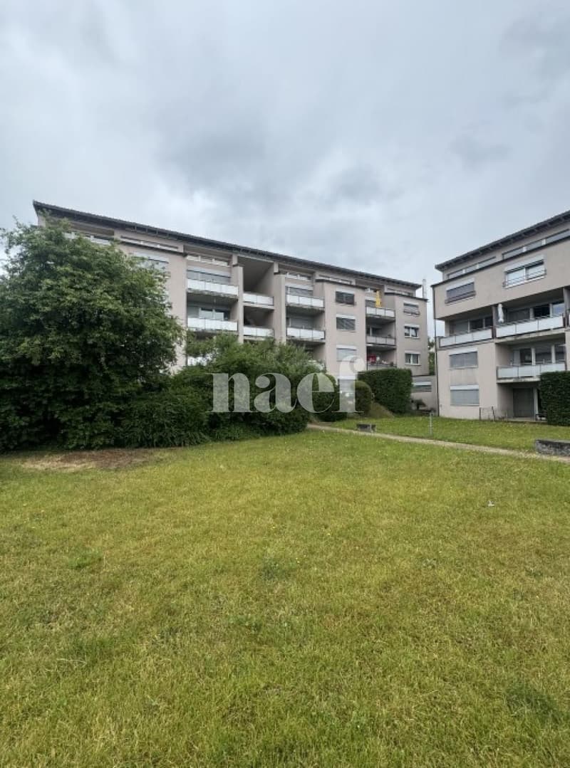 Appartement entièrement rénové (1)