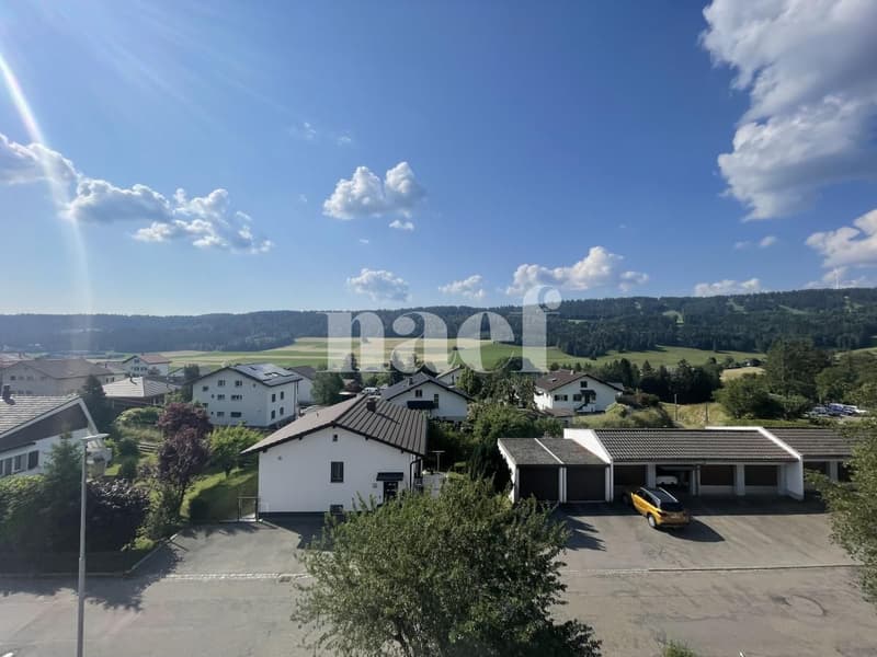RENOVE - Magnifique appartement lumineux de 3 pièces à Tramelan (9)