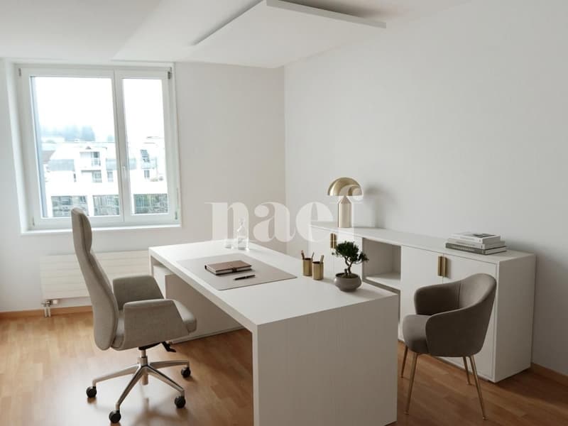 Bureaux idéalement situés à deux pas de la Gare CFF (5)