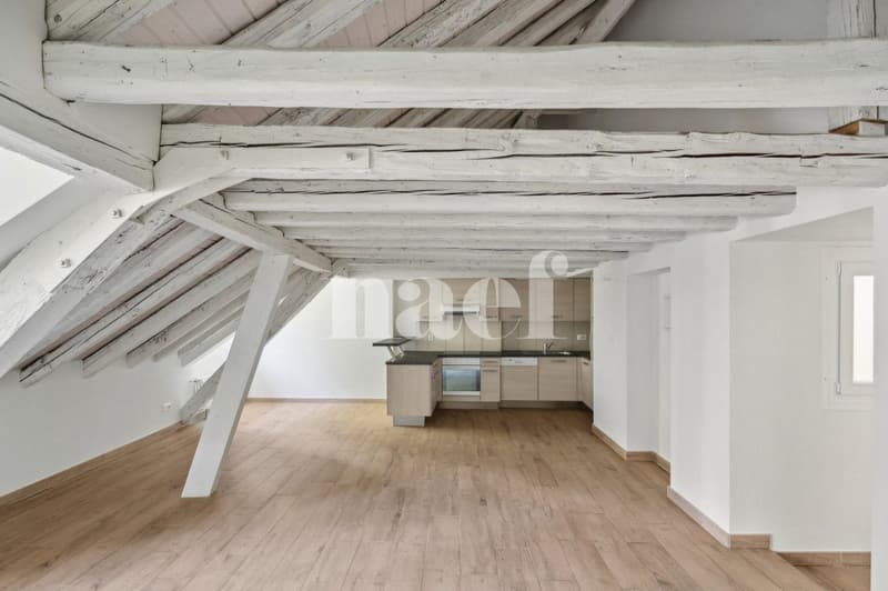 Bel appartement atypique situé au coeur de la Ville. (3)