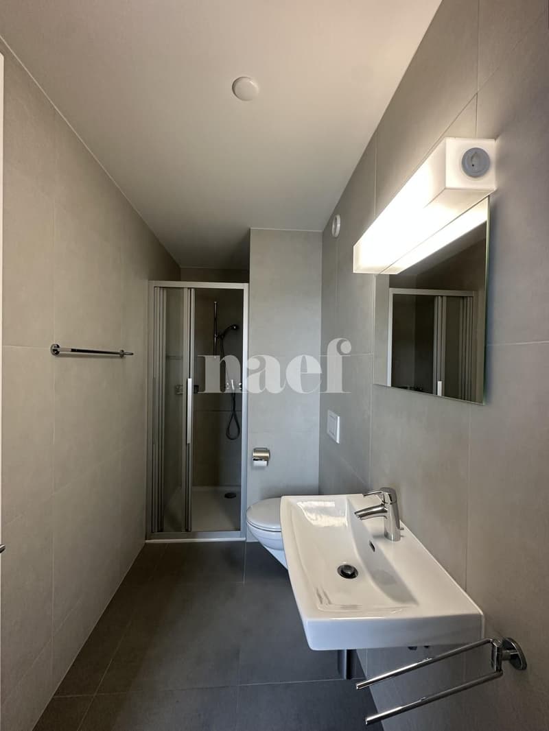 Appartement de 5.5 pièces (6)