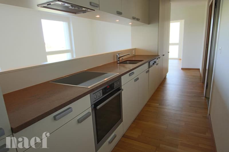 Bel appartement situé dans un complexe construit en 2013. (3)