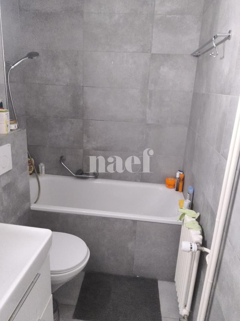 Appartement de 3 pièces au rez-de-chaussée (8)