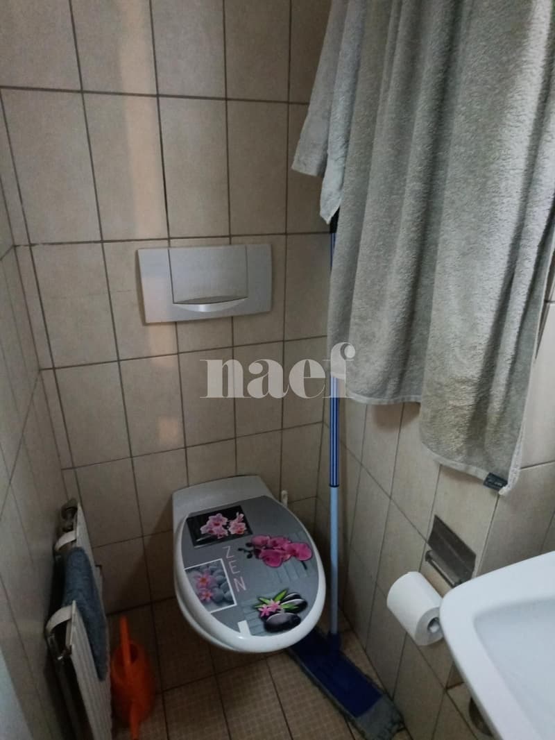 Appartement situé au centre ville, dans la zone piétonne. (5)