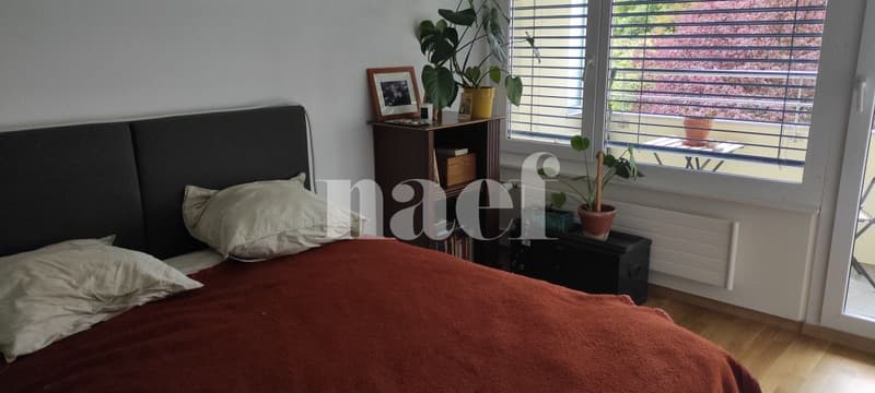 Bel appartement situé dans le haut de la ville (3)