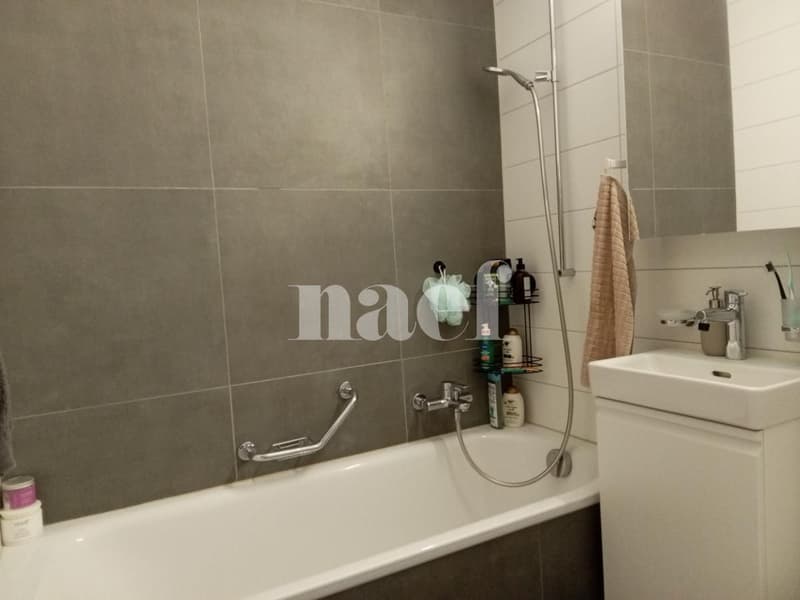 Bel appartement situé dans le haut de la ville (4)