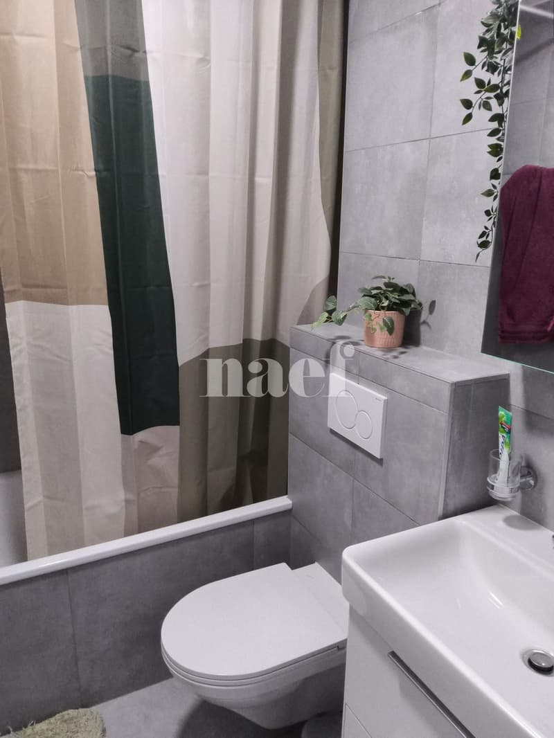 Appartement de 2 pièces au deuxième étage (4)