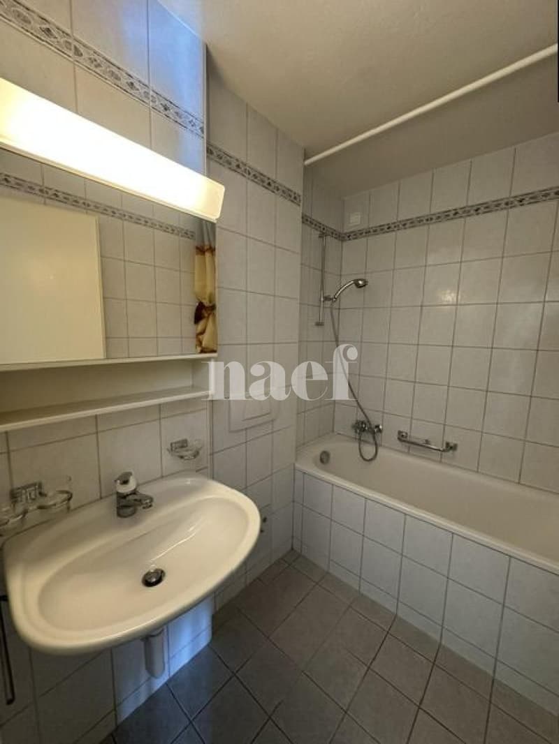 Appartement 4 pièces (5)