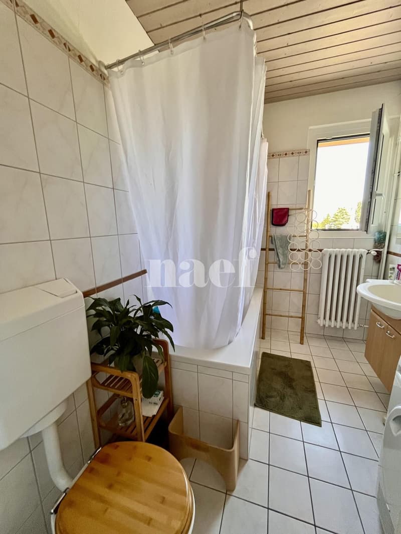 Grand appartement 4.5 pièces idéalement situé (9)