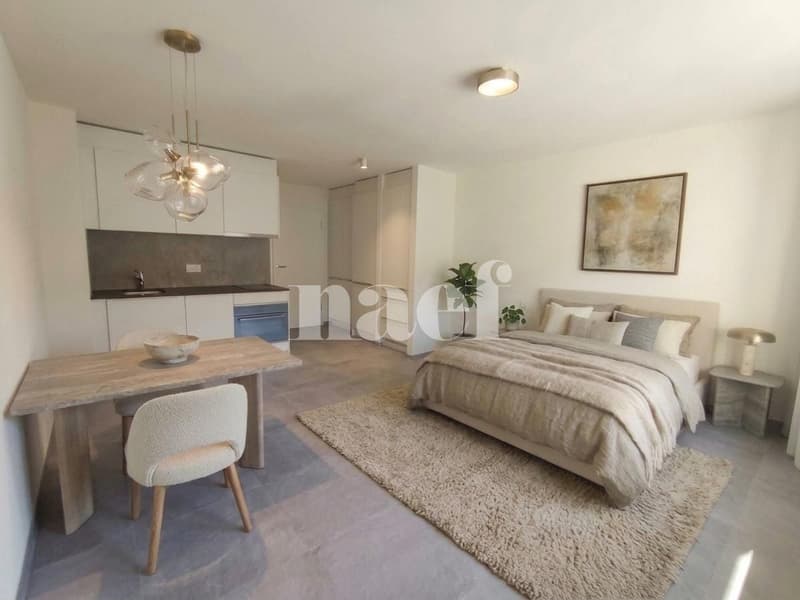 Studio rénové idéalement situé (2)