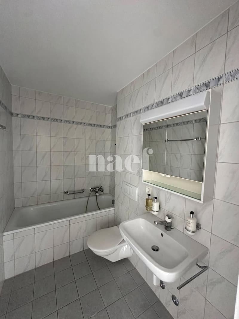 Appartement 4.5 pièces (4)