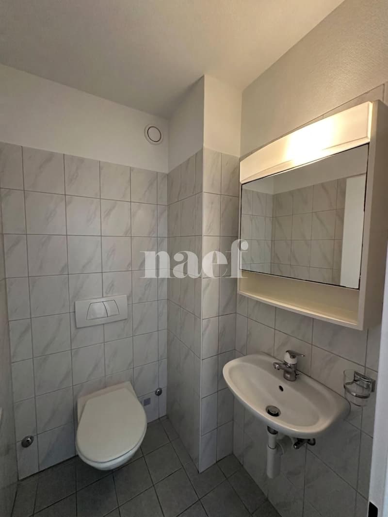 Appartement 4.5 pièces (5)