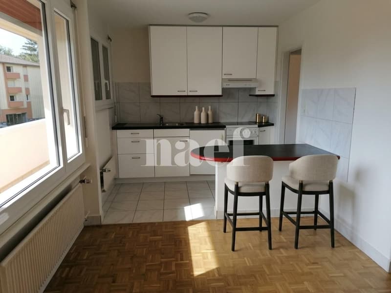 Joli appartement situé dans un quartier calme et verdoyant avec vue sur le lac. (7)