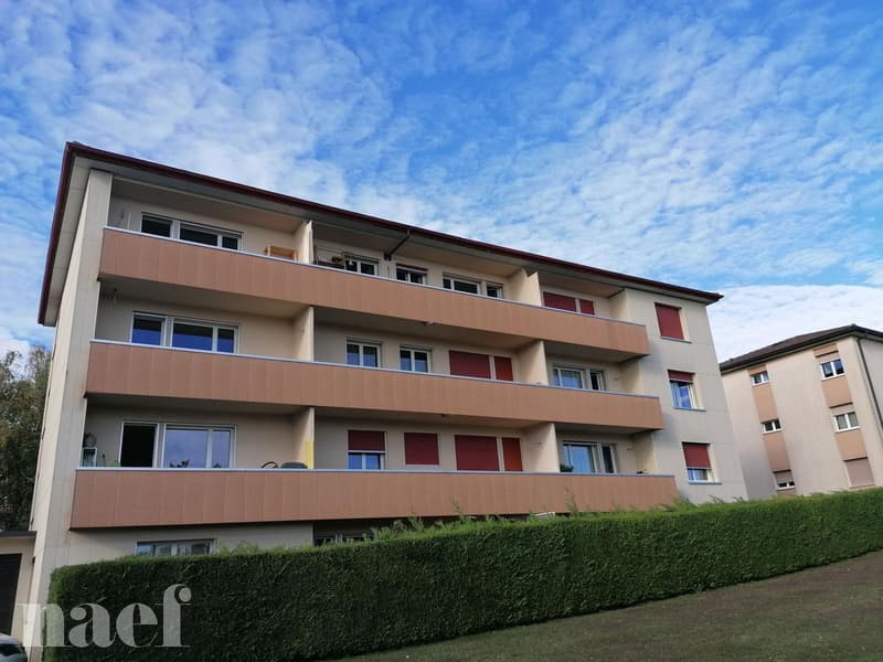 Joli appartement situé dans un quartier calme et verdoyant avec vue sur le lac. (1)