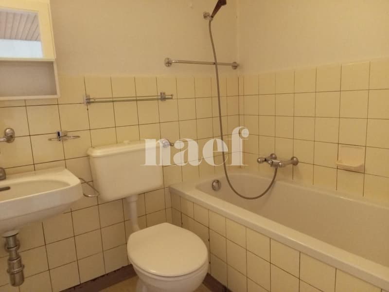 Joli appartement situé dans le haut de la Ville. (6)