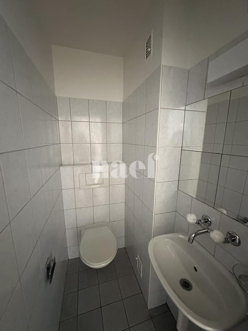 Appartement 3 pièces en duplex (8)