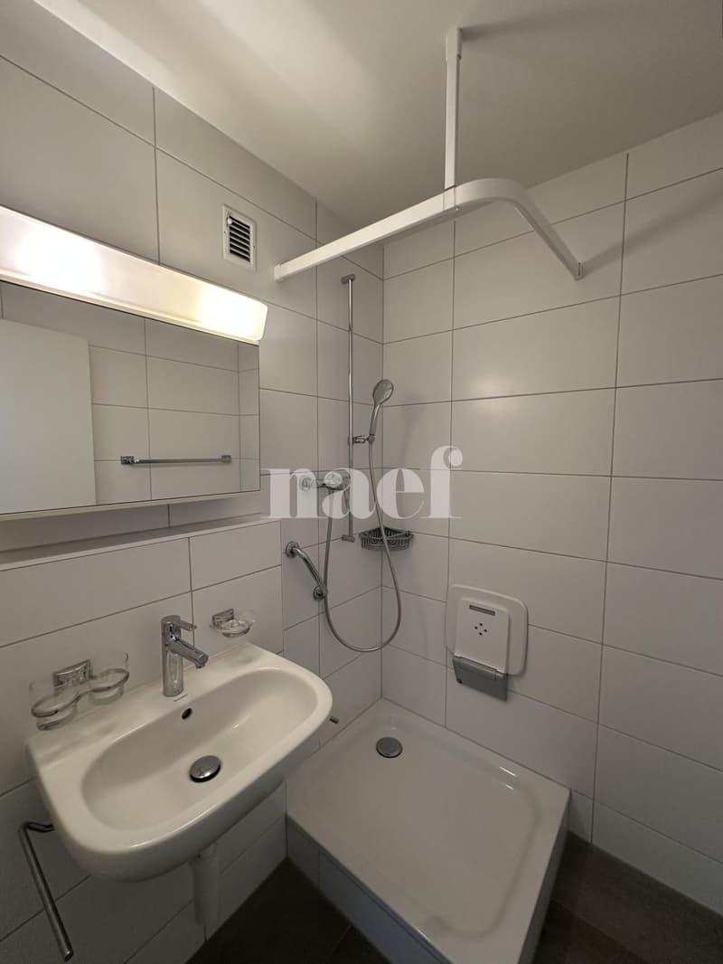 Appartement 3 pièces en duplex (7)