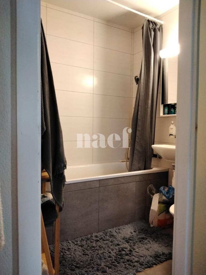 Appartement lumineux situé dans un quartier verdoyant (2)