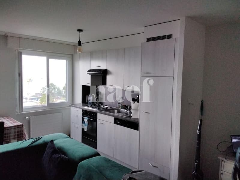 Appartement lumineux situé dans un quartier verdoyant (1)