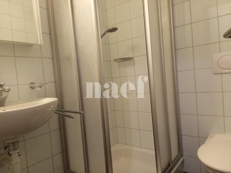 Occasion à saisir! Magnifique appartement proche de toutes commodités. (8)
