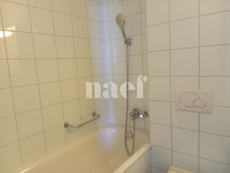 OCCASION A SAISIR! Magnifique appartement idéalement situé. (7)