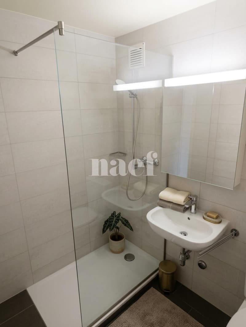 Bel appartement de 2.5 pièces complètement rénové (4)