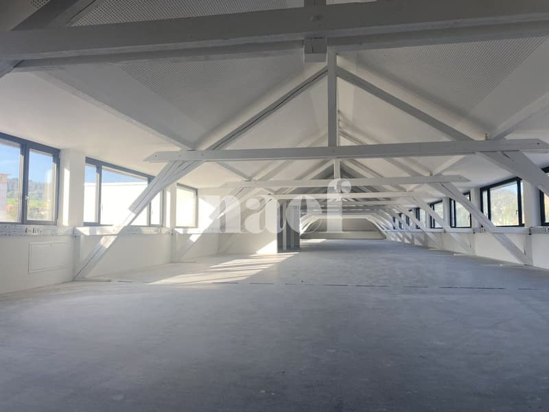Bureaux de 622 m2 avec poutres apparentes (6)