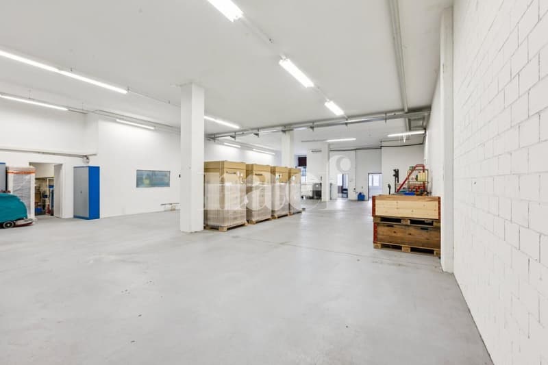 Nouvelle surface commerciale disponible de 380 m2 (3)