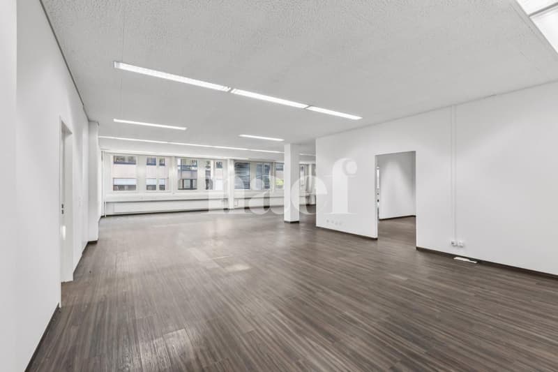 Nouvelle surface commerciale disponible de 534 m2 (11)