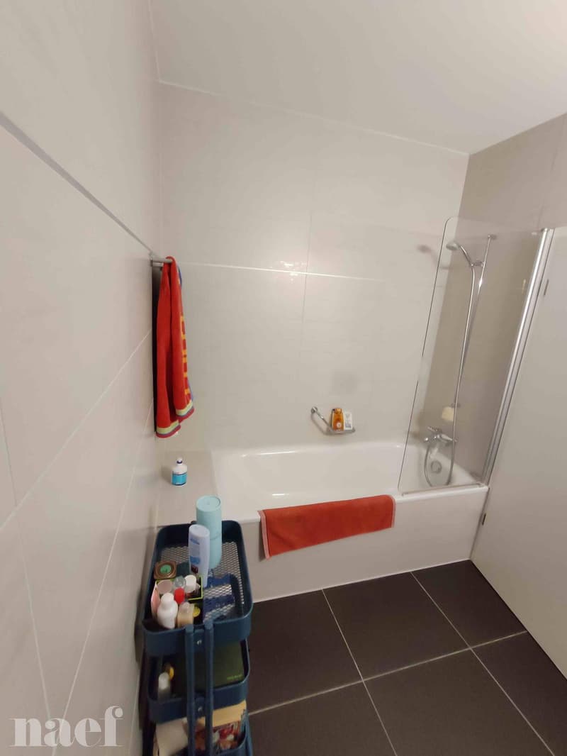 Bel appartement au centre du village de 3 pièces d'env. 82m2 au 3ème étage avec jardin commun (9)