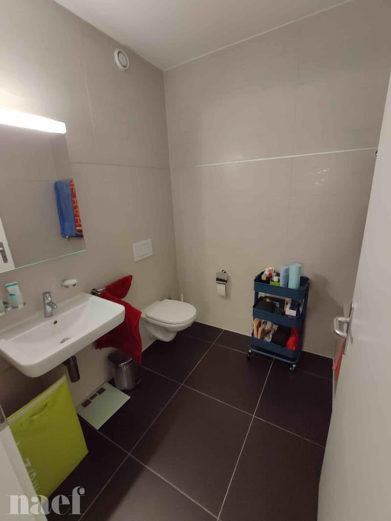 Bel appartement au centre du village de 3 pièces d'env. 82m2 au 3ème étage avec jardin commun (8)