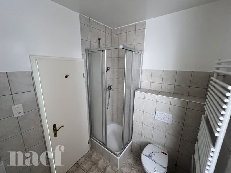 Au centre ville - Bel appartement de 5 pièces, env. 125m2 au 1er étage avec balcon (7)